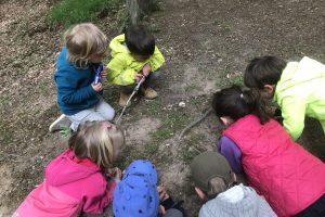 Kinder im Wald beobachten etwas auf dem Boden